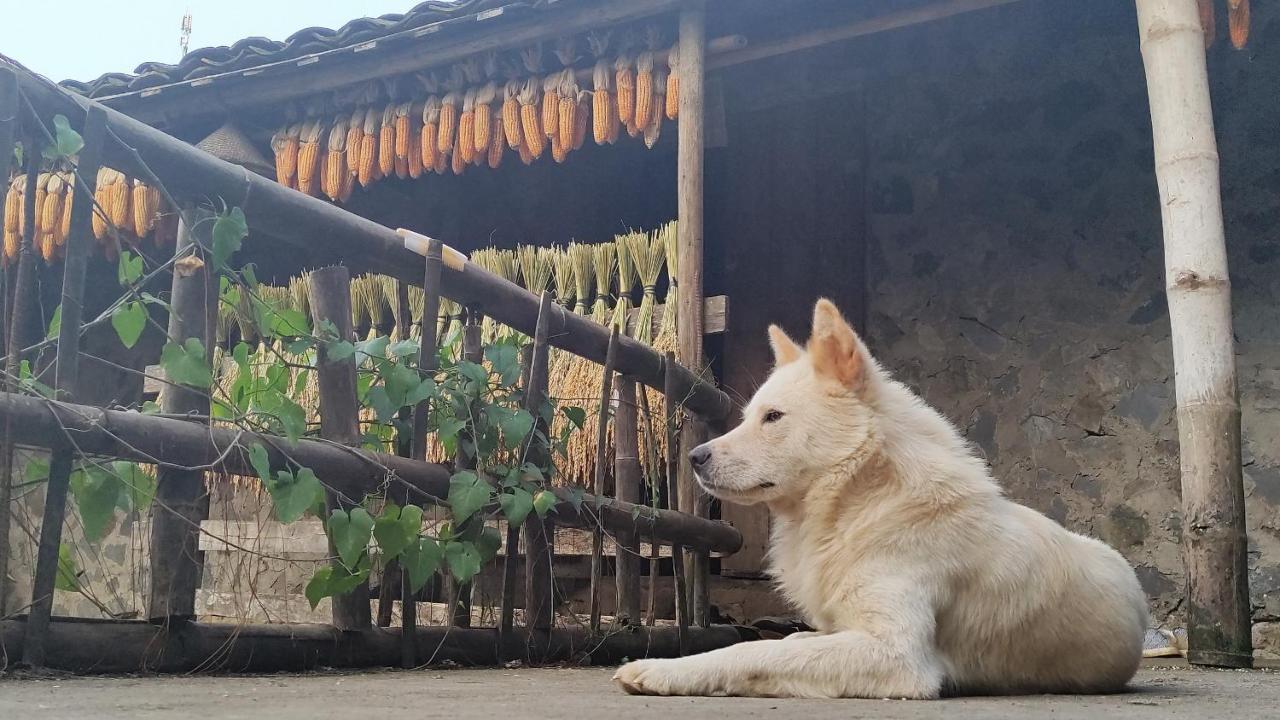 Hoang Cong Ban Gioc Homestay Cao Bang Eksteriør bilde
